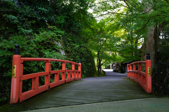 SDIM4210co,31 mm,F3.5,1-40 秒,iso100,20-60mm F2.8-4 DG  Contemporary 026.jpg