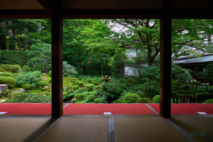 SDIM4233co,20 mm,F9,1-20 秒,iso125,20-60mm F2.8-4 DG  Contemporary 026_1.jpg