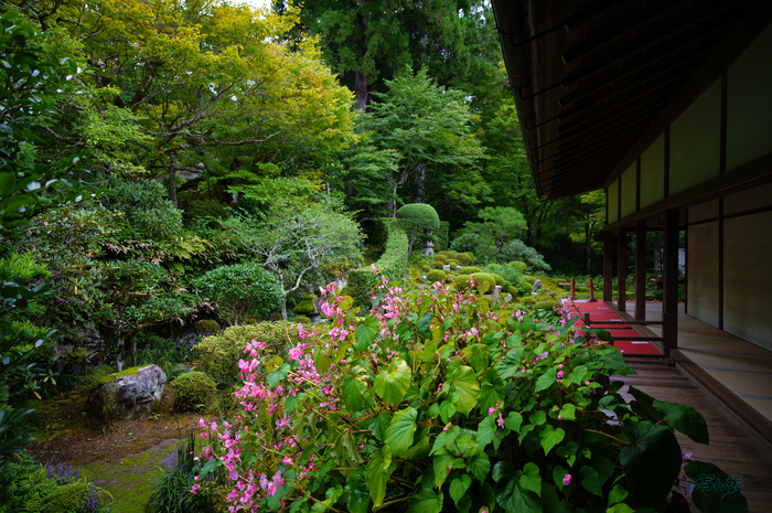 SDIM4277co,20 mm,F3.3,1-160 秒,iso100,20-60mm F2.8-4 DG  Contemporary 026.jpg