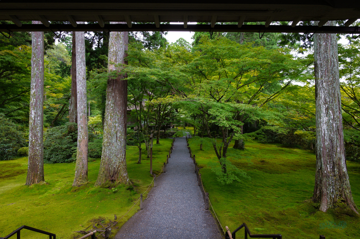 SDIM4318co,20 mm,F11,1-20 秒,iso250,20-60mm F2.8-4 DG  Contemporary 026.jpg