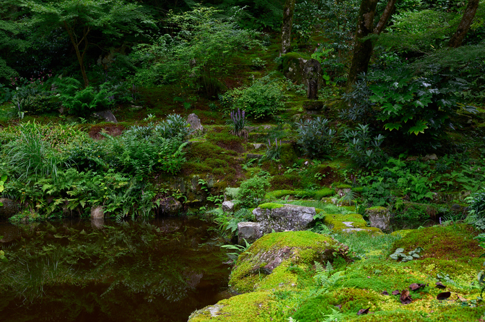 SDIM4345co,43 mm,F8,1-40 秒,iso200,20-60mm F2.8-4 DG  Contemporary 026.jpg