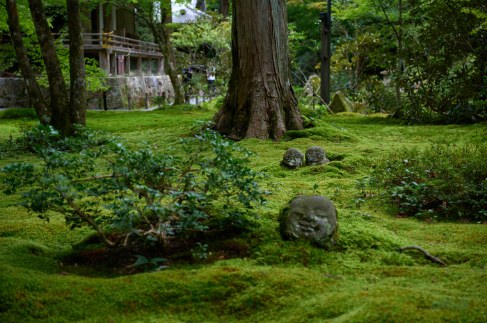 SDIM4361co,60 mm,F4,1-160 秒,iso100,20-60mm F2.8-4 DG  Contemporary 026.jpg