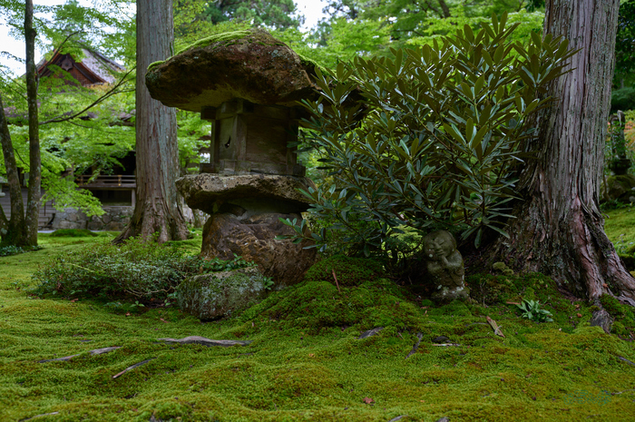 SDIM4376co,35 mm,F4,1-80 秒,iso100,20-60mm F2.8-4 DG  Contemporary 026.jpg