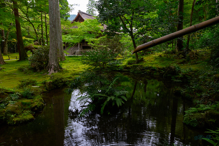 SDIM4379co,28 mm,F11,1-30 秒,iso200,20-60mm F2.8-4 DG  Contemporary 026.jpg