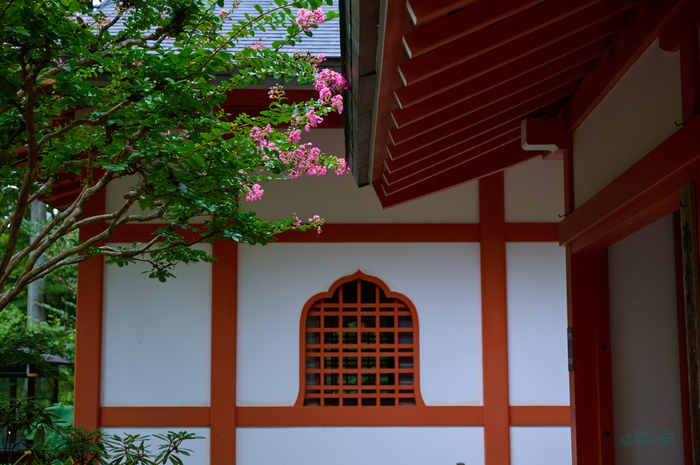 SDIM4409co,57 mm,F4,1-80 秒,iso100,20-60mm F2.8-4 DG  Contemporary 026.jpg