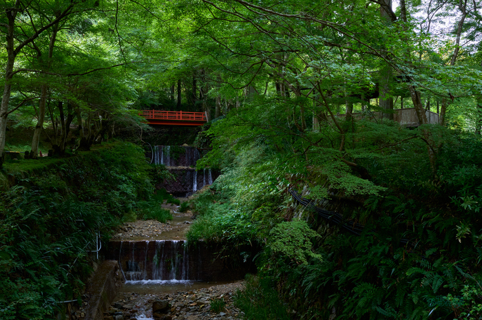 SDIM4447co,38 mm,F11,1-40 秒,iso800,20-60mm F2.8-4 DG  Contemporary 026_1.jpg
