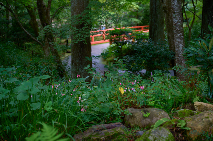 SDIM4462co,60 mm,F4,1-60 秒,iso100,20-60mm F2.8-4 DG  Contemporary 026.jpg
