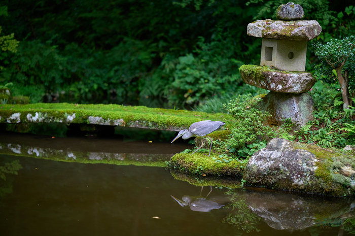SDIM4537co,85 mm,F1.2,1-640 秒,iso100,85mm F1.2 DG  Art 026.jpg