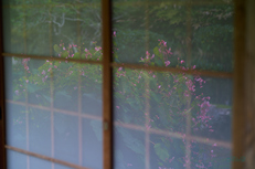 SDIM4585co,85 mm,F2.2,1-125 秒,iso100,85mm F1.2 DG  Art 026.jpg