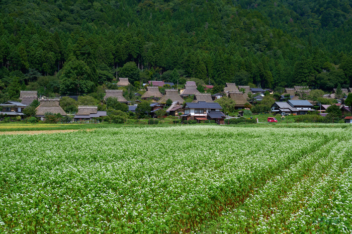 SDIM4658co,48 mm,F10,1-250 秒,iso100,20-60mm F2.8-4 DG  Contemporary 026.jpg