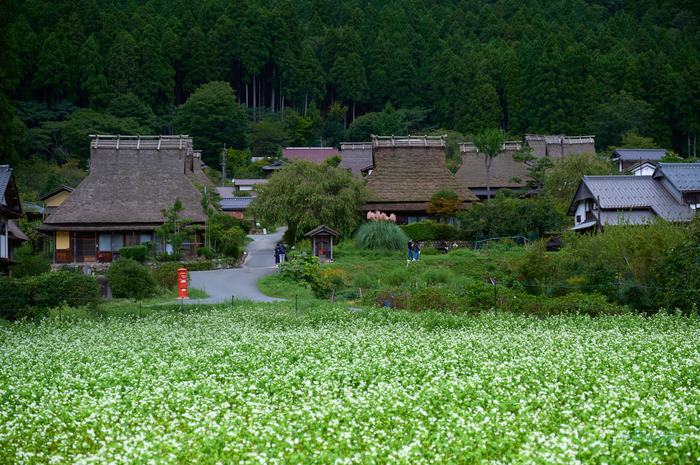 SDIM4729co,60 mm,F4,1-640 秒,iso100,20-60mm F2.8-4 DG  Contemporary 026.jpg