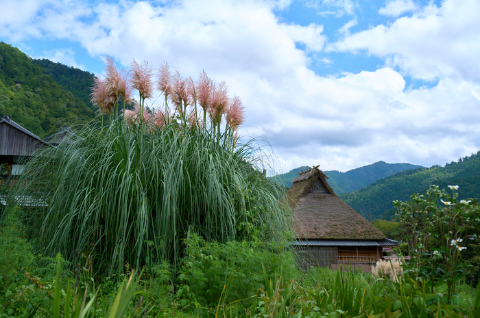 SDIM4795co,37 mm,F3.7,1-800 秒,iso100,20-60mm F2.8-4 DG  Contemporary 026.jpg