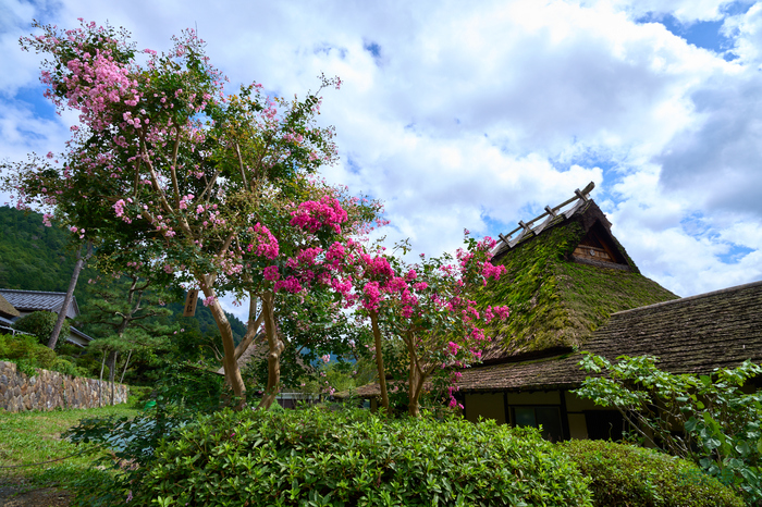 SDIM4807co,20 mm,F10,1-100 秒,iso100,20-60mm F2.8-4 DG  Contemporary 026.jpg