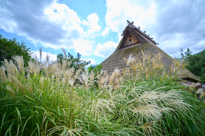 SDIM4876co,20 mm,F2.8,1-1000 秒,iso100,20-60mm F2.8-4 DG  Contemporary 026.jpg