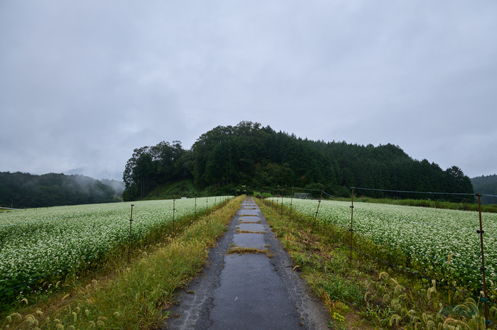 SDIM5100co,20 mm,F9,1-80 秒,iso100,20-60mm F2.8-4 DG  Contemporary 026.jpg
