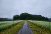 SDIM5100co,20 mm,F9,1-80 秒,iso100,20-60mm F2.8-4 DG  Contemporary 026.jpg