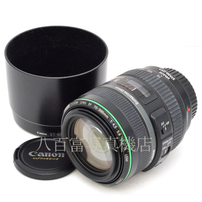 【中古】 キヤノン EF 70-300mm F4.5-5.6 DO IS USM Canon 中古交換レンズ 46273