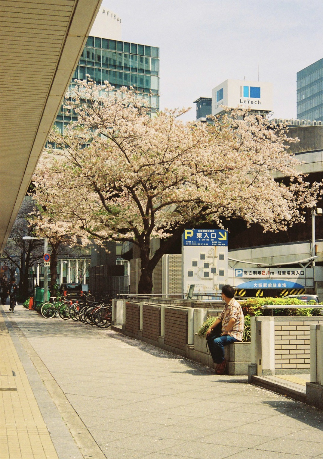 ロモグラフィーカラーネガフィルム 800 135-36EX-3P Lomography