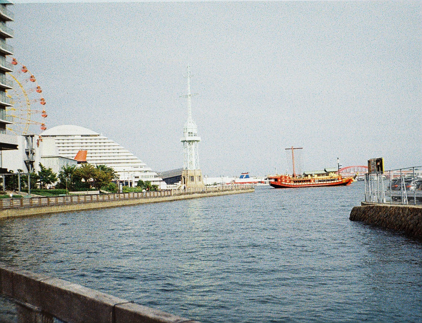 110 ポケットカラーネガフィルム 現像のみ