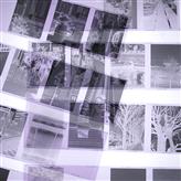 110白黒ネガフィルム フィルム現像のみ