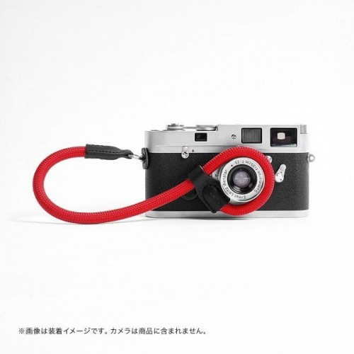 cam-in ハンドストラップ DWS-001 リング型 ブラック カムイン