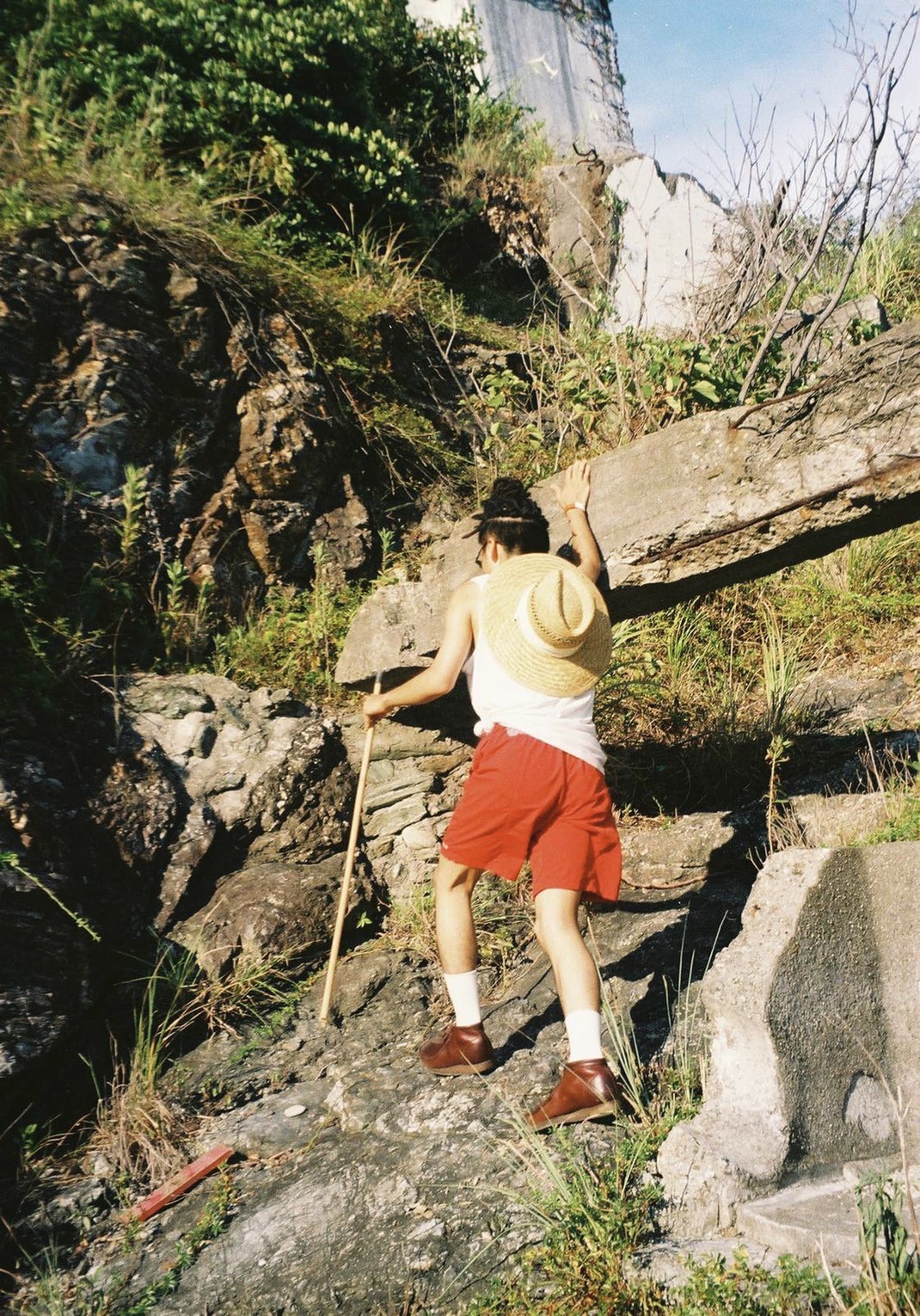 コダック ゴールド 200 135-24枚撮り 3本パック　Kodak GOLD 200