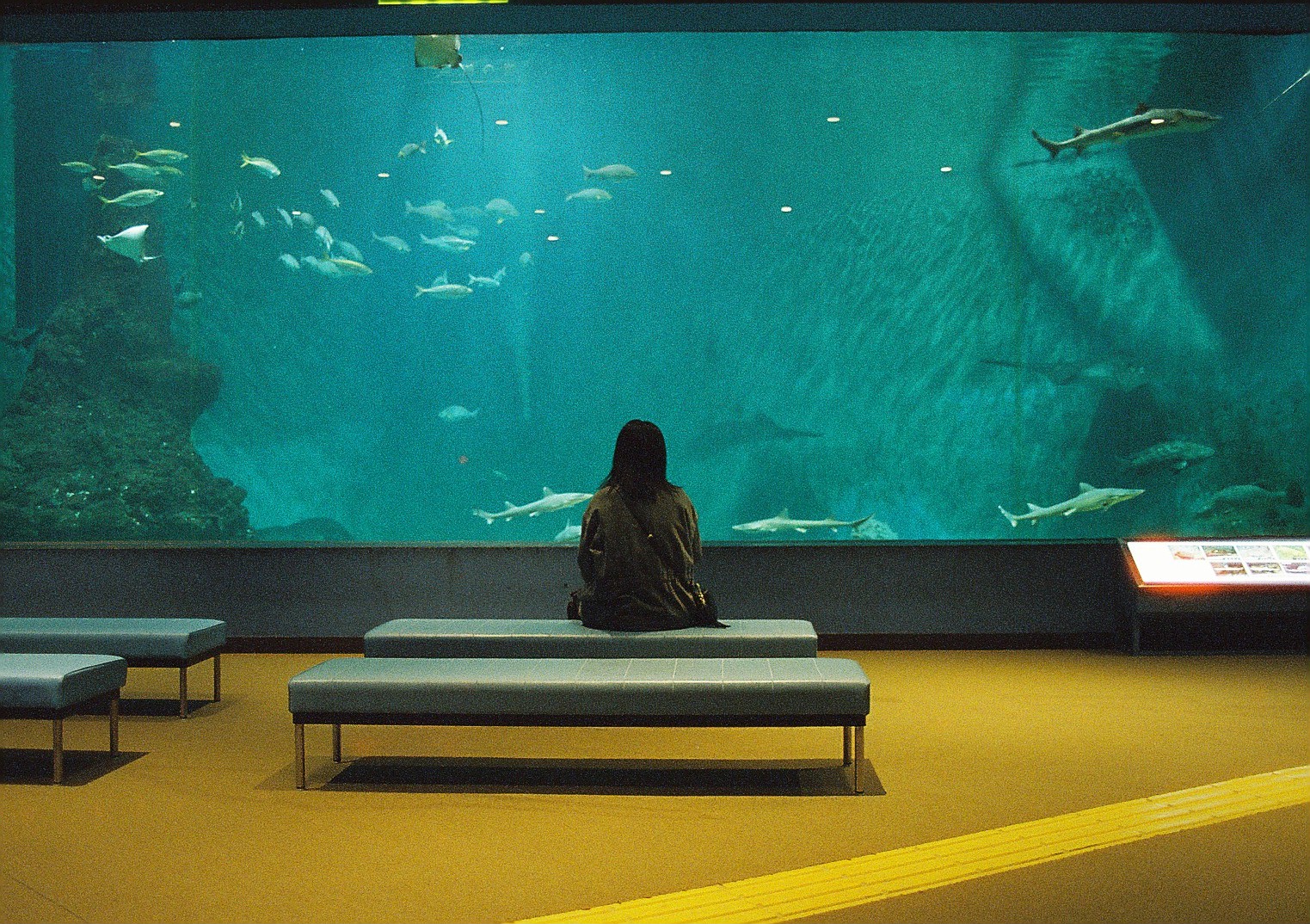 マリックス カラーネガフィルム ISO 800T 36枚 MARIX Color movie NegaFilm 800T