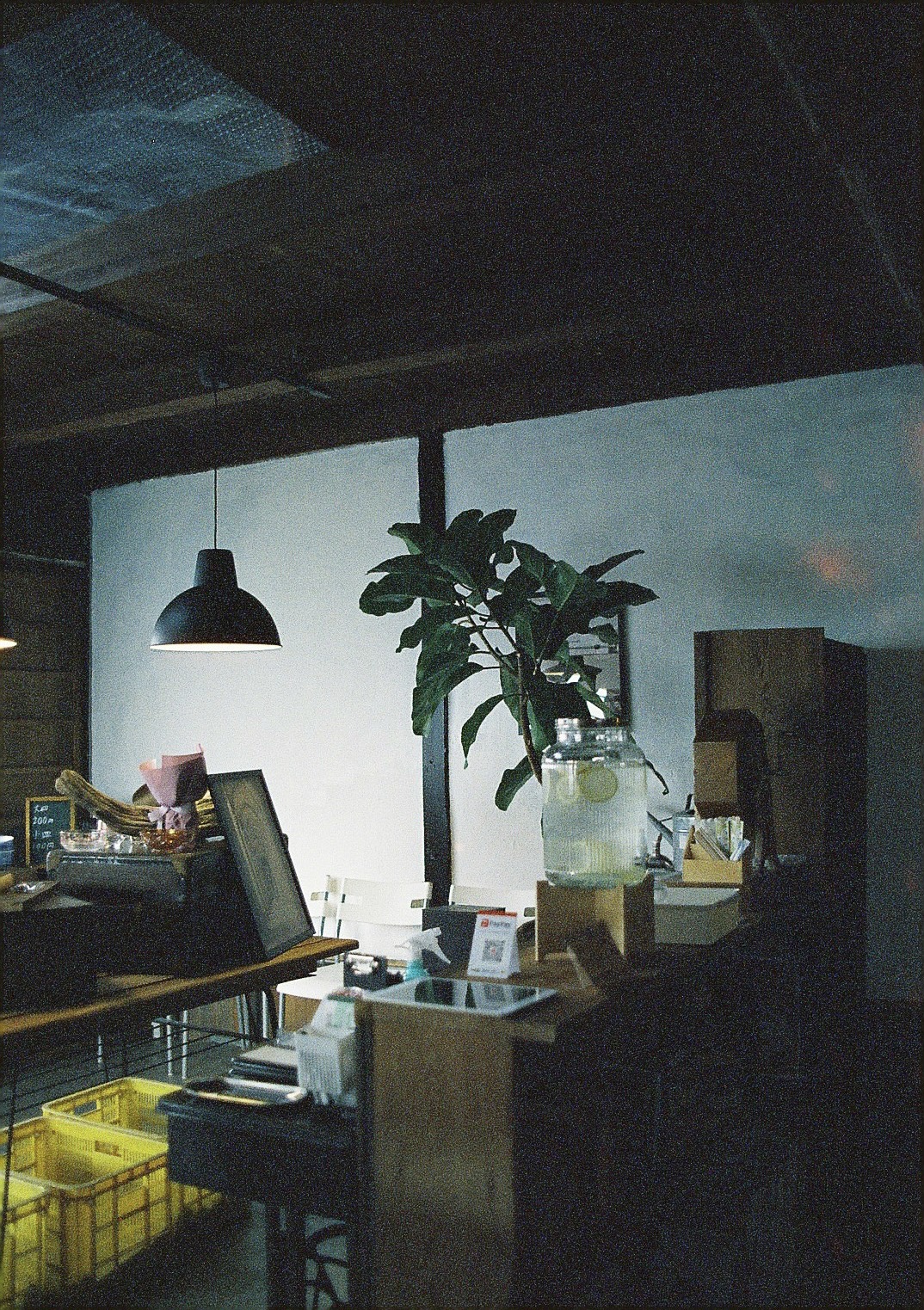マリックス カラーネガフィルム ISO 800T 24枚 MARIX Color movie NegaFilm 800T