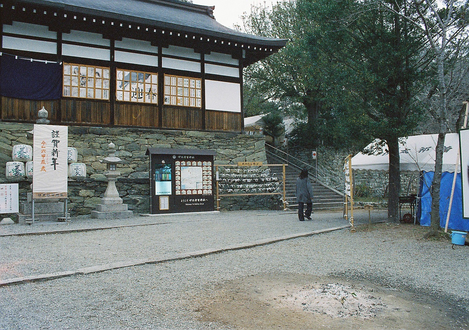 マリックス カラーネガフィルム ISO 800T 24枚 MARIX Color movie NegaFilm 800T