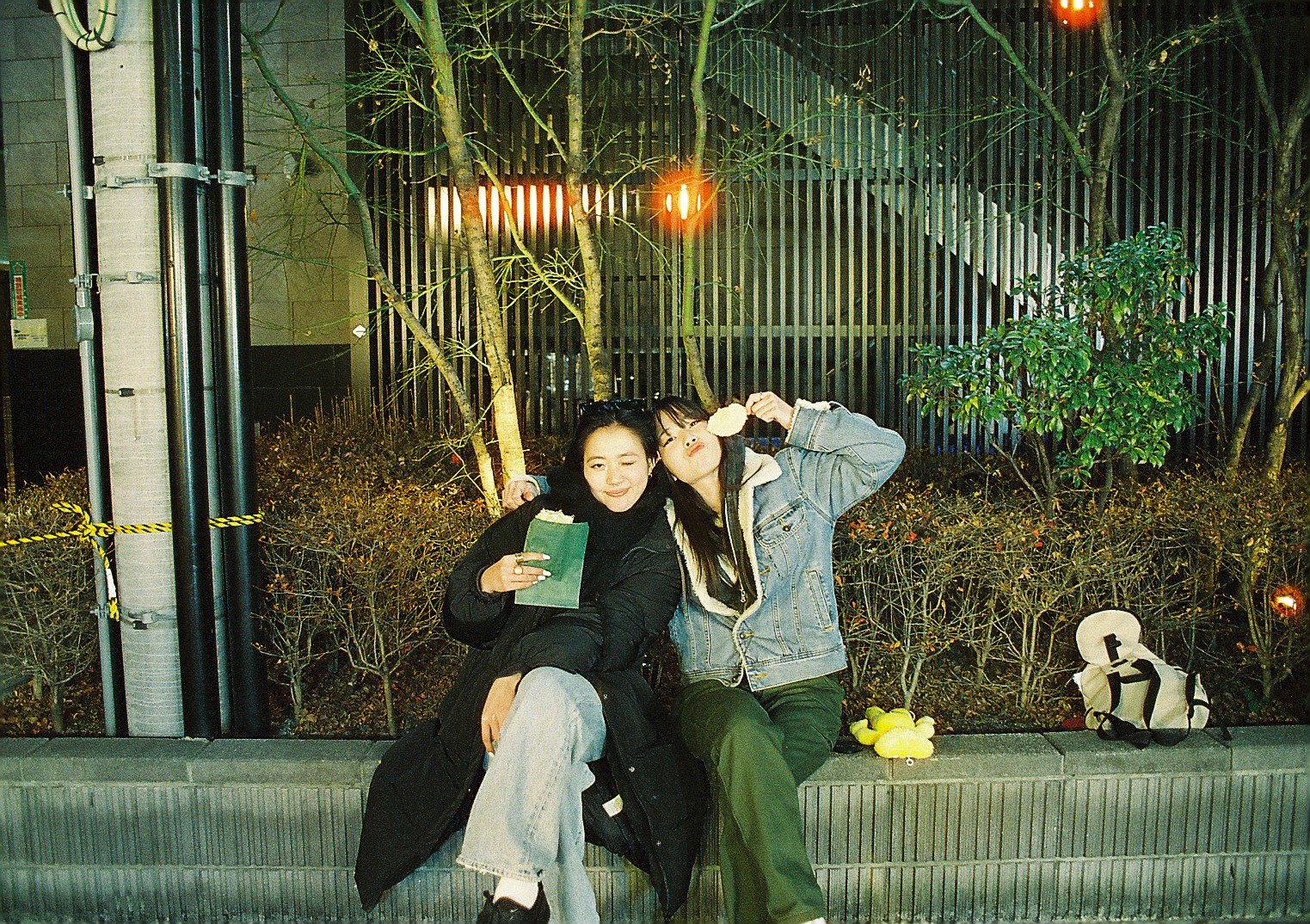 マリックス カラーネガフィルム ISO 800T 24枚 MARIX Color movie NegaFilm 800T