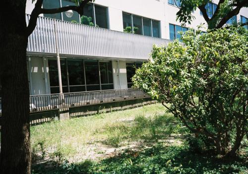 カラーネガフィルム 焼き増しプリント KGサイズ (オリジナル補正プリント) 【35mm判普通サイズ】