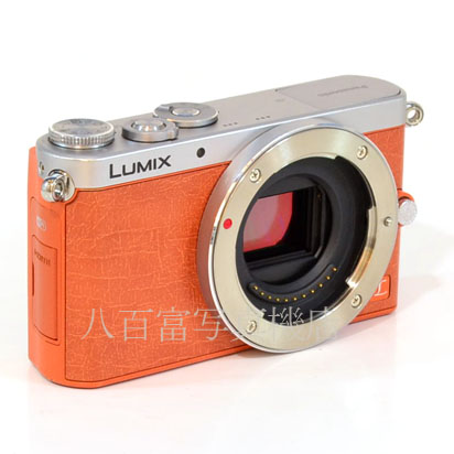 【中古】 パナソニック LUMIX DMC-GM1K Panasonic 中古デジタルカメラ 37213