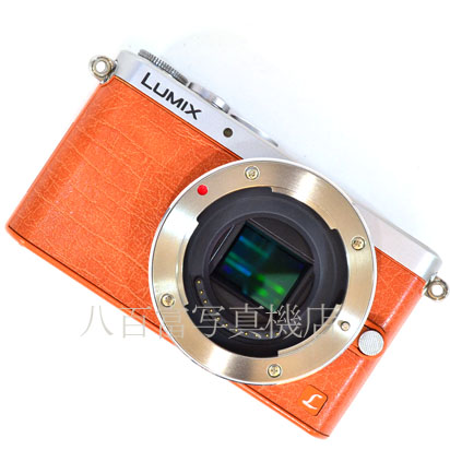 【中古】 パナソニック LUMIX DMC-GM1K Panasonic 中古デジタルカメラ 37213