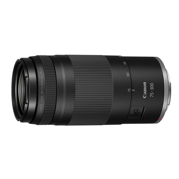 《新製品予約》 キヤノン RF 75-300mm F4-5.6 / Canon