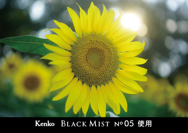 ケンコー ブラックミスト No.5 55mm [ソフトフィルター] Kenko