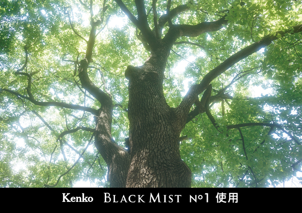 ケンコー ブラックミスト No.1 62mm [ソフトフィルター] Kenko