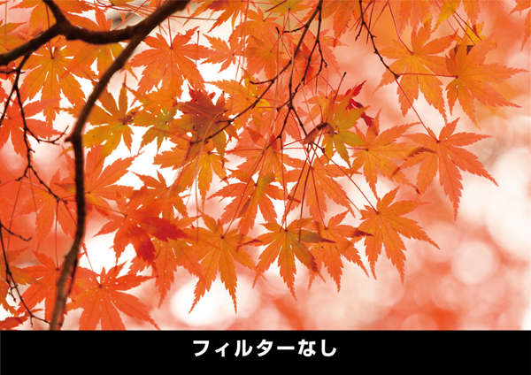 ケンコー PRO1 D  プロソフトン [A] (W) 55mm [ソフトフィルター] Kenko