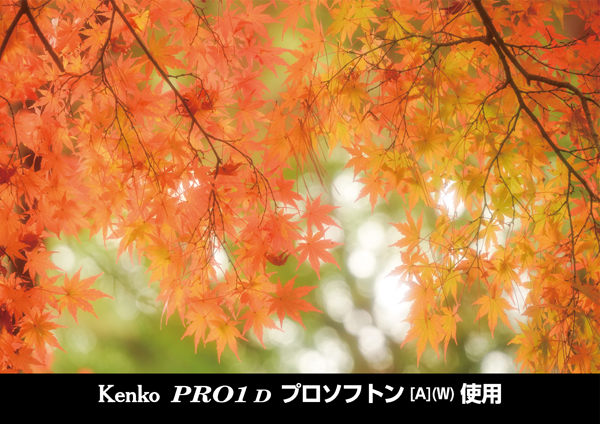 ケンコー MC PROソフトン（B） 72mm [ソフトフィルター] Kenko