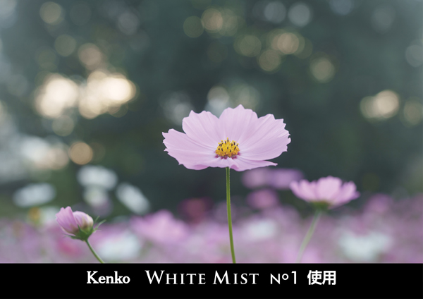 ケンコー ホワイトミスト No.1 52mm [ソフトフィルター] Kenko
