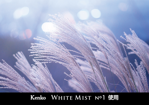 ケンコー ホワイトミスト No.1 55mm [ソフトフィルター] Kenko