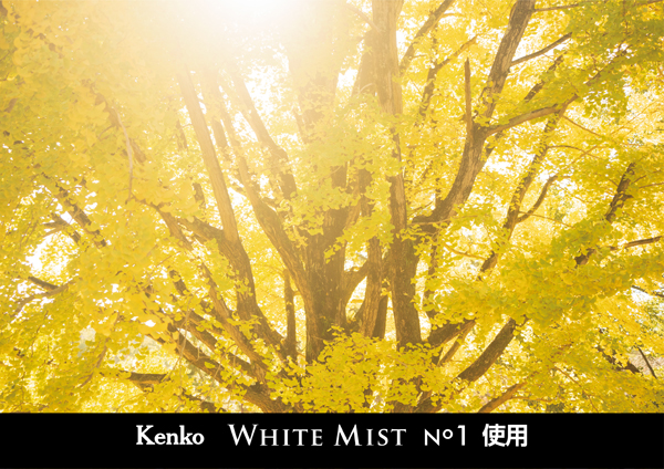ケンコー ホワイトミスト No.1 49mm [ソフトフィルター] Kenko