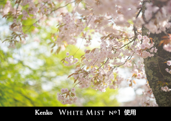 ケンコー ホワイトミスト No.1 49mm [ソフトフィルター] Kenko