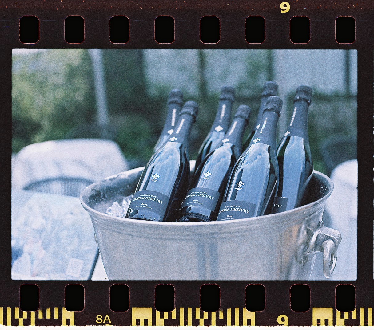 カラーネガフィルム フィルム現像 + データ作成 【35mm判パーフォレーション込み】