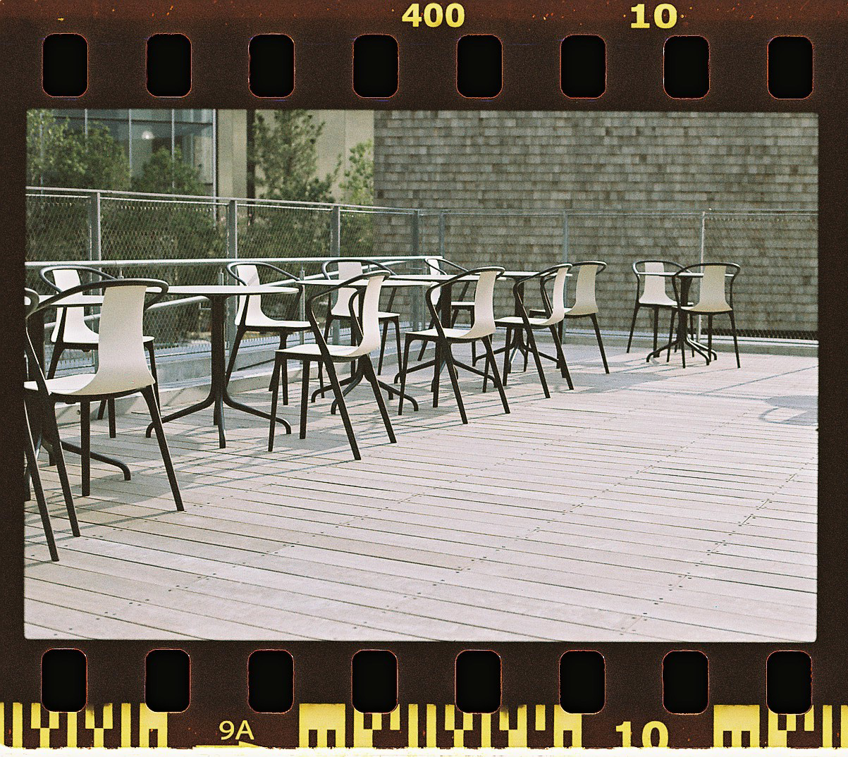 カラーネガフィルム フィルム現像 + データ作成 【35mm判パーフォレーション込み】