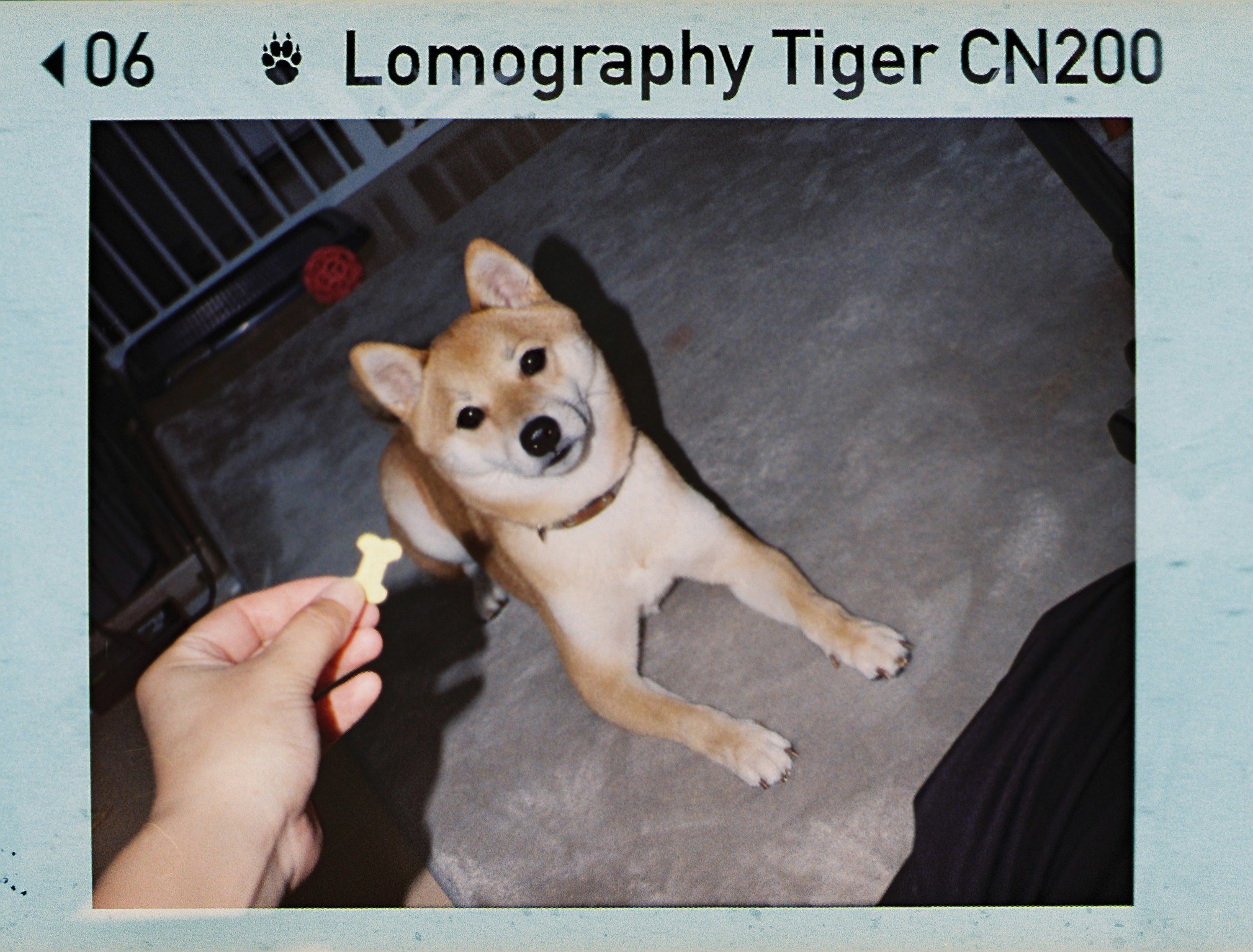 110 ポケットカラーネガフィルム 現像 + データ化 フルフレーム (パーフォレーション込み)