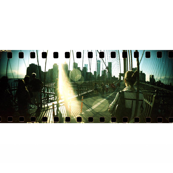 ロモグラフィー Sprocket Rocket 35mm パノラマカメラ / Peacock / フィルムカメラ / スプロケット / Lomography