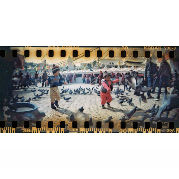 ロモグラフィー Sprocket Rocket 35mm パノラマカメラ / Peacock / フィルムカメラ / スプロケット / Lomography
