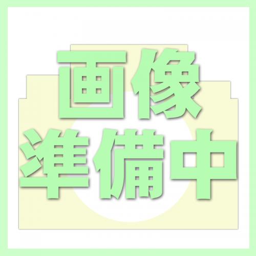 中古 オリンパス ペンFシリーズ用 アクセサリーシュー OLYMPUS