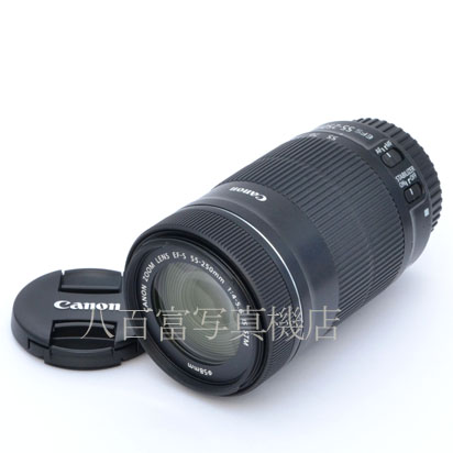 【中古】 キヤノン EF-S 55-250mm F4-5.6 IS STM Canon 中古交換レンズ 45132