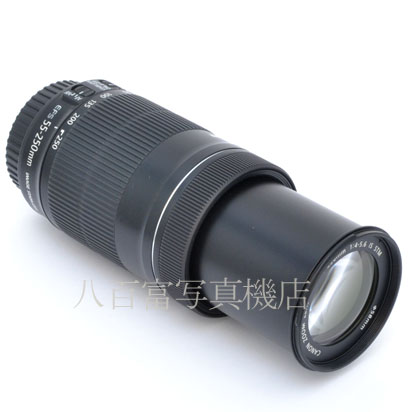 【中古】 キヤノン EF-S 55-250mm F4-5.6 IS STM Canon 中古交換レンズ 45132